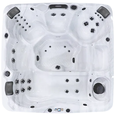 Avalon EC-840L hot tubs for sale in Tampa